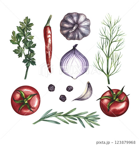 A set with vegetables and spices. A hand-drawn watercolor illustration. A color template with an image of organic products isolated from each other. For menus, recipe books, packages, labels. A set with vegetables and spices. A hand-drawn watercolor illustration. A color template with an image of organic products isolated from each other. For menus, recipe books, packages, labels. 123879968