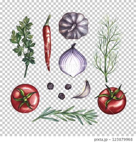 A set with vegetables and spices. A hand-drawn watercolor illustration. A color template with an image of organic products isolated from each other. For menus, recipe books, packages, labels. 123879968
