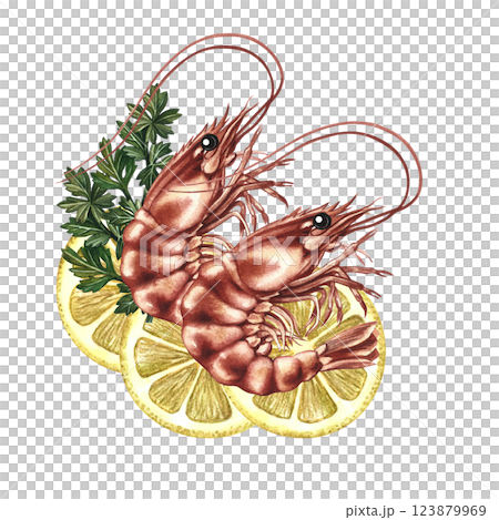 Shrimp with lemon and herbs. A hand-drawn watercolor illustration. Color image of seafood. For menus, recipe books, packages, labels and invitations. Shrimp with lemon and herbs. A hand-drawn watercolor illustration. Color image of seafood. For menus, recipe books, packages, labels and invitations. 123879969