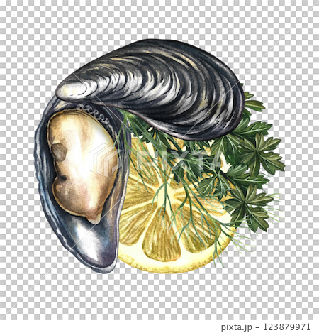 Mussels with lemon and herbs. Handmade watercolor illustration. A color image of a seafood dish. Suitable for menus, recipe books, packages, labels and banners and flyers. Mussels with lemon and herbs. Handmade watercolor illustration. A color image of a seafood dish. Suitable for menus, recipe books, packages, labels and banners and flyers. 123879971