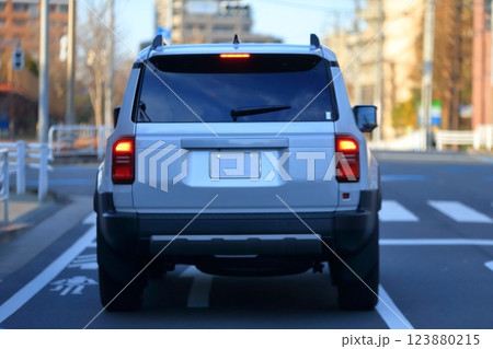 車のテールランプ 車のテールランプ 123880215