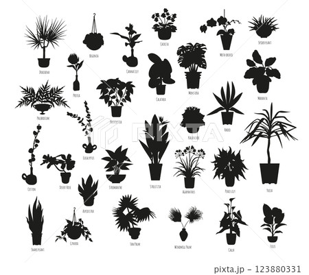 Set of black silhouettes of potted houseplants isolated on white background 123880331