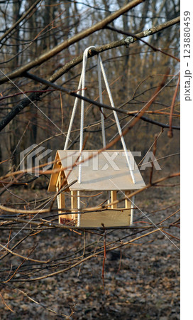 Bird feeder hangs from tree branches in a serene forest setting filled with bare trees and quiet nature 123880459