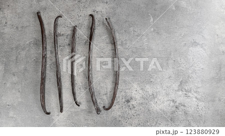 Five vanilla pods on gray stone like board, space for text right side 123880929