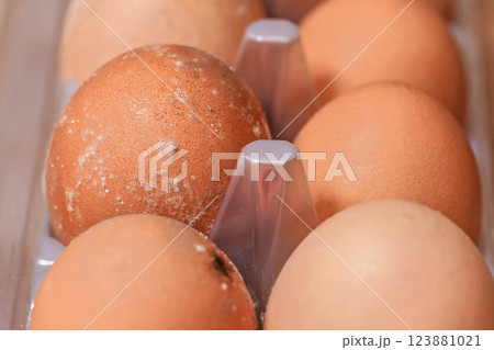 White mildew growing on eggs stored improperly in wet and cold for long time. Food wasting concept 123881021
