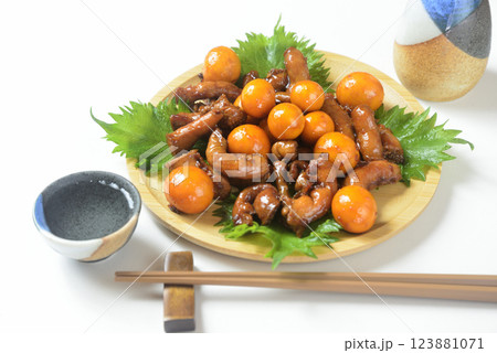 木製プレートに鶏モツ煮込み料理を盛り付けと日本酒 木製プレートに鶏モツ煮込み料理を盛り付けと日本酒 123881071