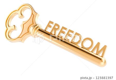Key to freedom, concept. 3D rendering Key to freedom, concept. 3D rendering 123881397