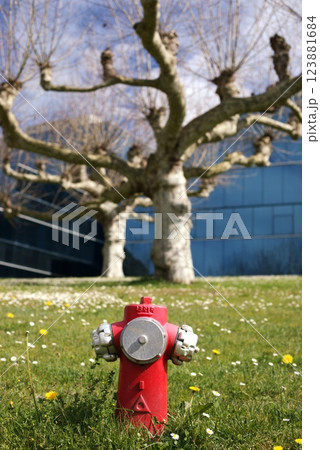 A red fire hydrant on a green lawn with blooming flowers, set against a modern glass building and a leafless tree with twisted branches A red fire hydrant on a green lawn with blooming flowers, set against a modern glass building and a leafless tree with twisted branches 123881684