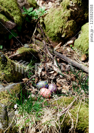 decorated eggs with intricate patterns rest on the dry leaves in forest 123882088
