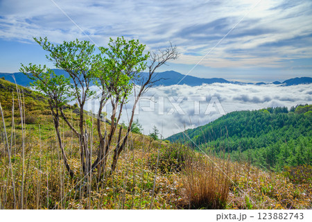 鉢伏山登山道の風景【長野県】 123882743