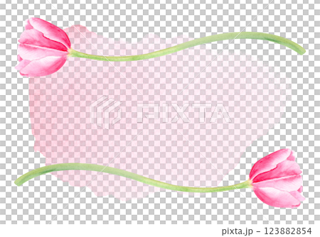 Tulip flower watercolor horizontal card on pink watercolor background. Hand painted delicate flower. High quality clip art perfect for mother's day, women's day cards, posters, banners, decor design 123882854