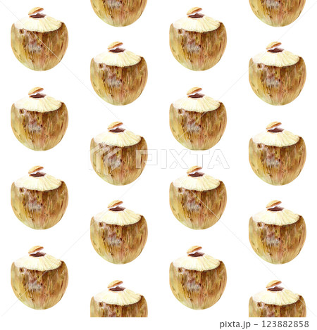 Fresh coconut water watercolor seamless pattern isolated on white. The hand-painted art is perfect for wrapping paper, prints, packaging, menu, coconut water, milk, refreshment, room decor 123882858