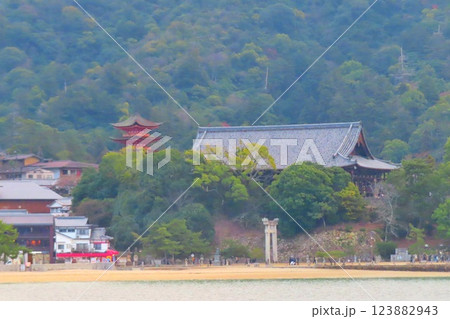 【広島県】日本三景安芸の宮島の五重塔と千畳閣 【広島県】日本三景安芸の宮島の五重塔と千畳閣 123882943