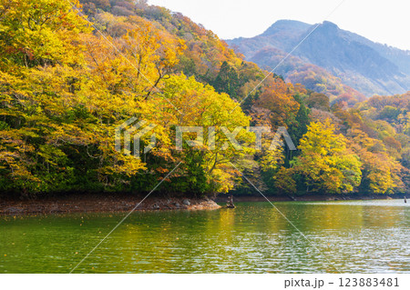 秋の世界遺産白神山地　紅葉の十二湖　鶏頭場の池 123883481