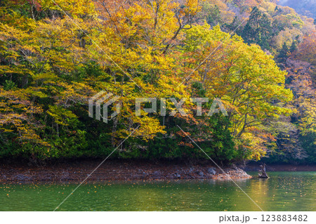 秋の世界遺産白神山地　紅葉の十二湖　鶏頭場の池 123883482