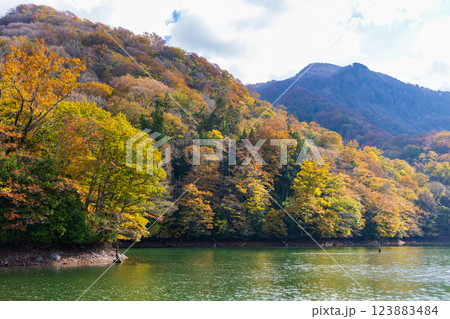 秋の世界遺産白神山地　紅葉の十二湖　鶏頭場の池 123883484