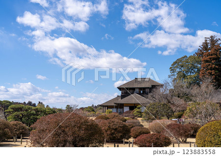 青空の下に佇む伝統的な和風建築と美しい日本庭園の風景 123883558