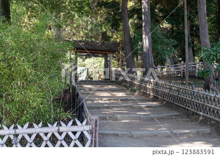 竹垣と木立に囲まれた和風の石段と門 123883591