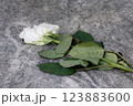 withered white rose on gravestone 123883600