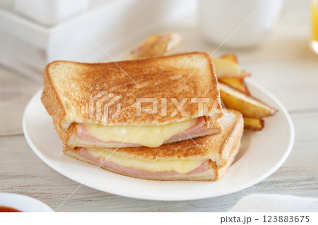 ホットサンド 123883675