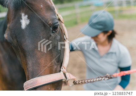 involved with horses involved with horses 123883747