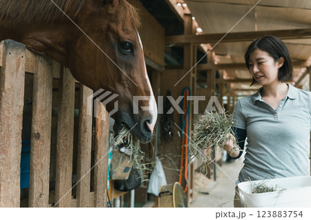 involved with horses 123883754