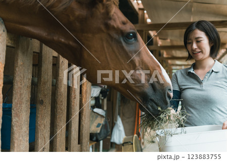 involved with horses involved with horses 123883755