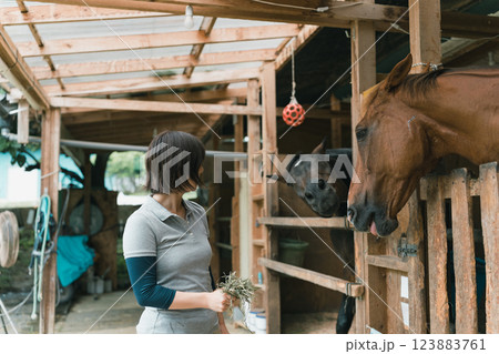 involved with horses 123883761