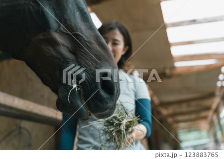 involved with horses 123883765