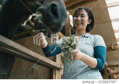 involved with horses 123883767