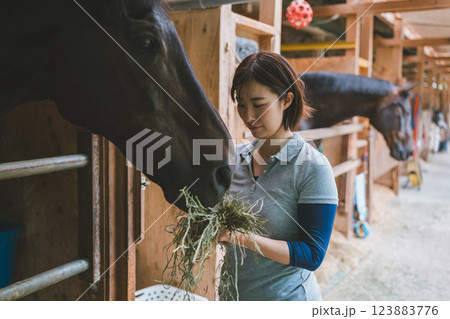 involved with horses involved with horses 123883776
