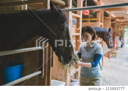 involved with horses 123883777