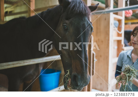 involved with horses involved with horses 123883778