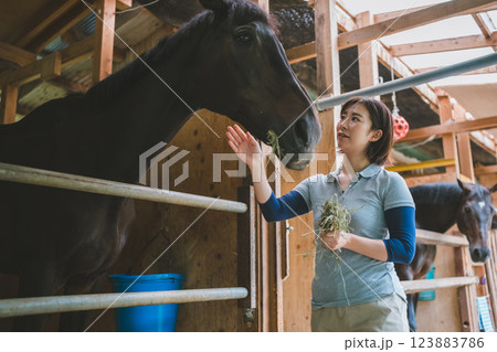 involved with horses involved with horses 123883786
