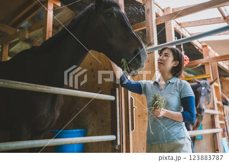 involved with horses involved with horses 123883787