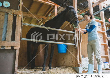 involved with horses involved with horses 123883792