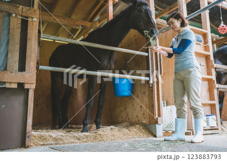 involved with horses involved with horses 123883793