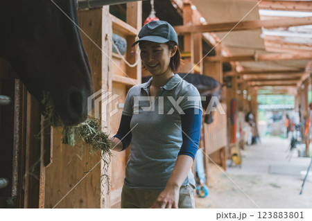 involved with horses 123883801