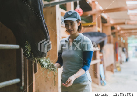 involved with horses involved with horses 123883802