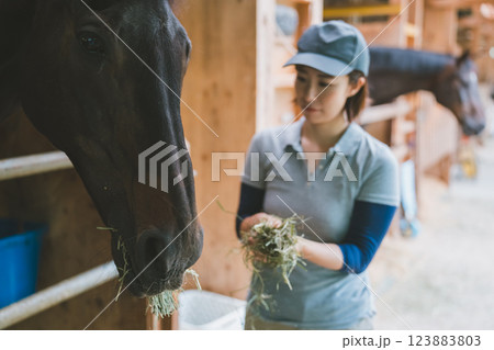 involved with horses 123883803