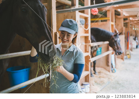 involved with horses involved with horses 123883814