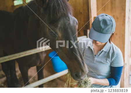 involved with horses involved with horses 123883819