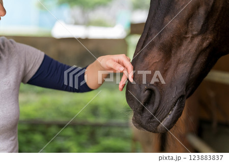 involved with horses involved with horses 123883837
