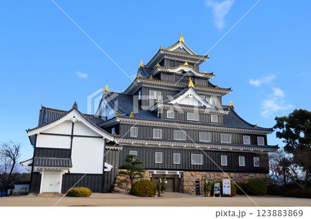 岡山城 天守閣 123883869