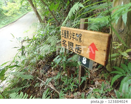 名護岳　名護市　沖縄　山　自然　緑 123884024