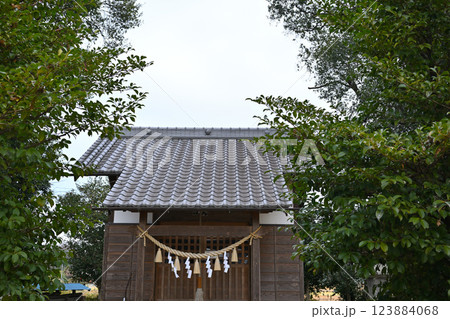 菅沼天神社　社殿　深谷市　　　　 123884068