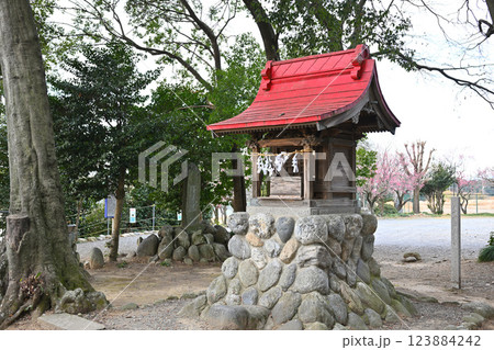 菅沼天神社　境内　祠　深谷市　　　　 123884242