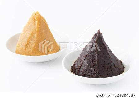 お皿に盛りつけた赤だし味噌と米味噌(白) お皿に盛りつけた赤だし味噌と米味噌(白) 123884337