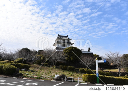 竹崎城址展望台 竹崎城址展望台 123884340