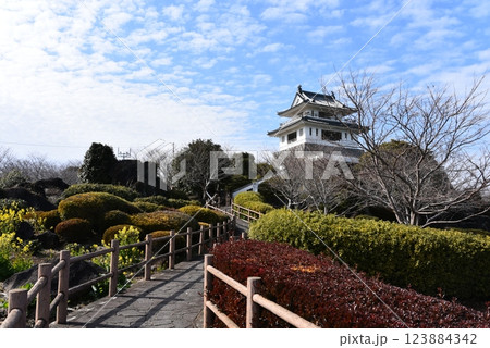 竹崎城址展望台 竹崎城址展望台 123884342